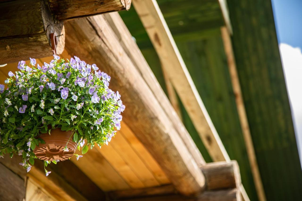 Melderi Villa Rēzekne Buitenkant foto